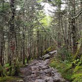 Review photo of Greenleaf Hut by Jean C., June 26, 2019