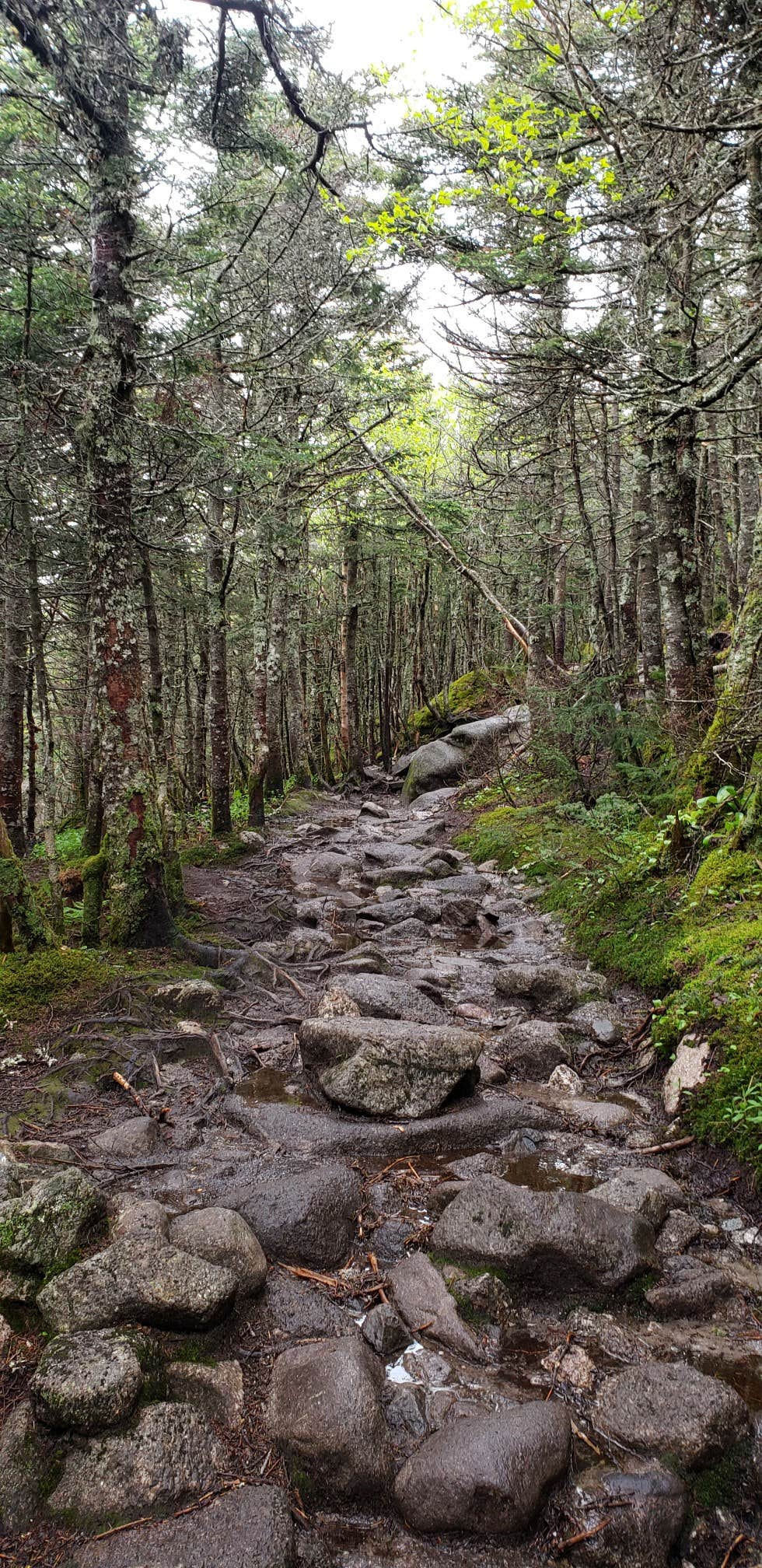 Old Bridle Path