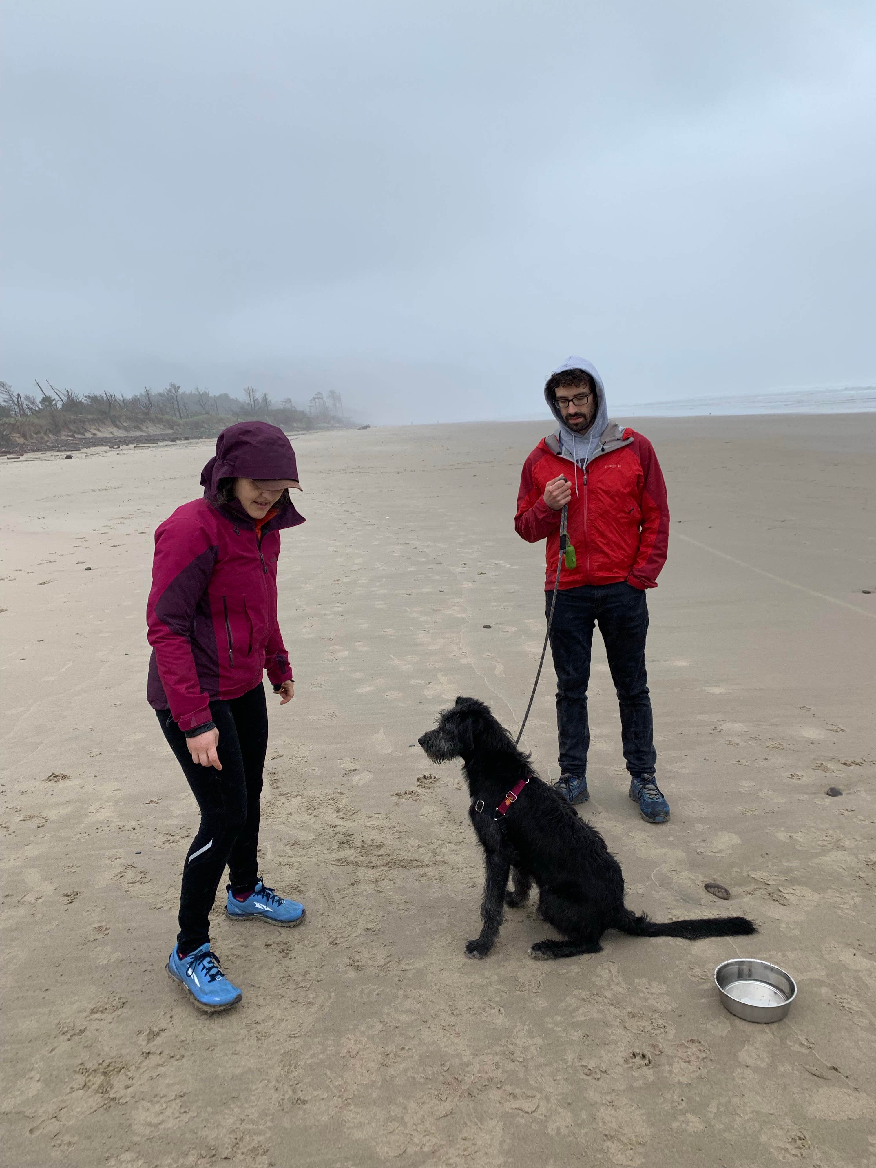 Ryan F.'s photo of camping with pets at Cape Lookout State Park Campground near Tillamook, OR