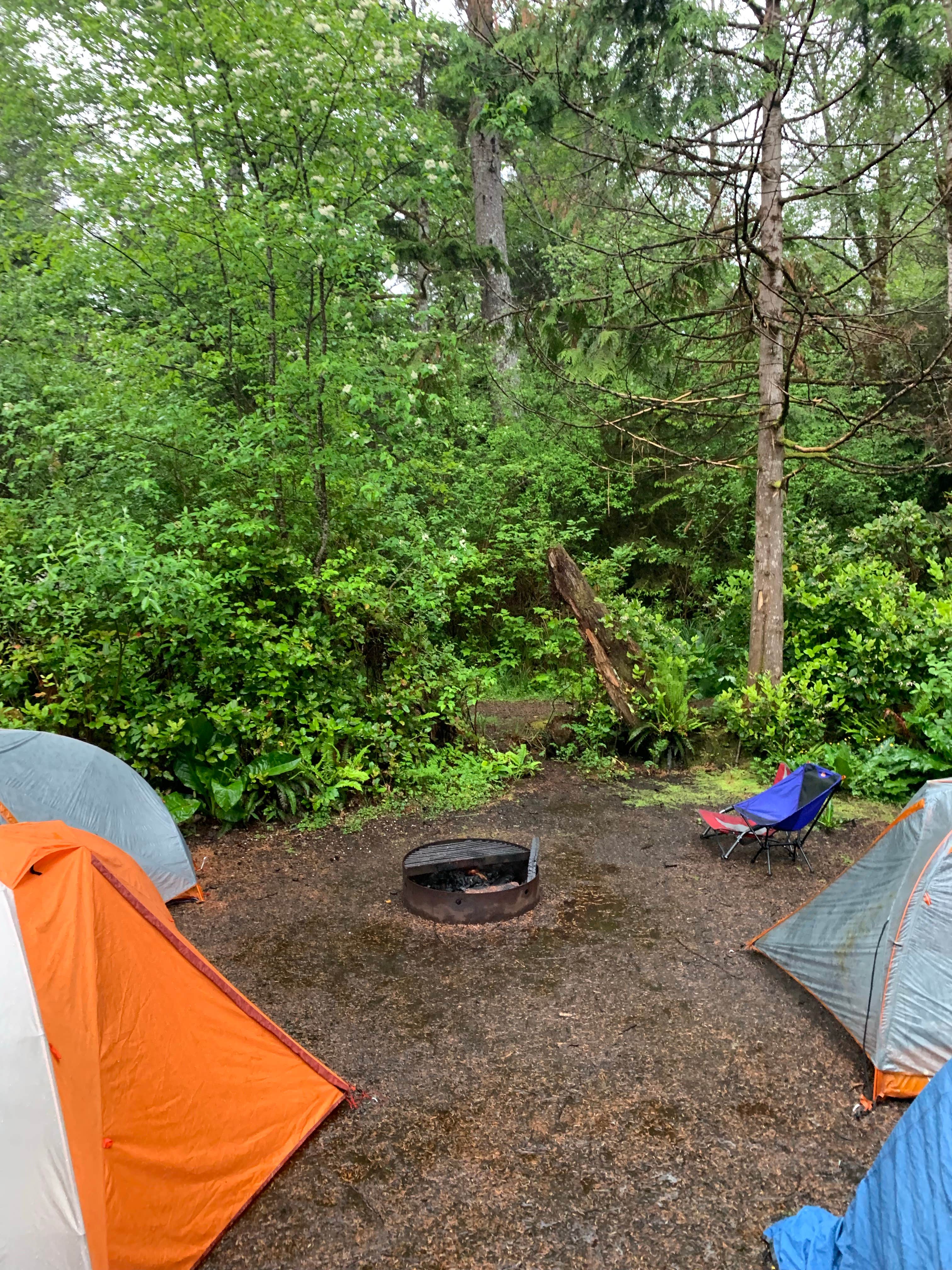 Ryan F.'s photo at Cape Lookout State Park Campground near Pacific City, OR