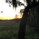 Review photo of Little Talbot Island State Park Campground by Denise O., June 26, 2019