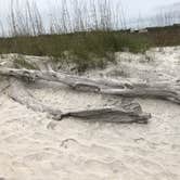 Review photo of Little Talbot Island State Park Campground by Denise O., June 26, 2019