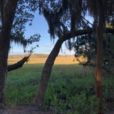 Review photo of Little Talbot Island State Park Campground by Denise O., June 26, 2019