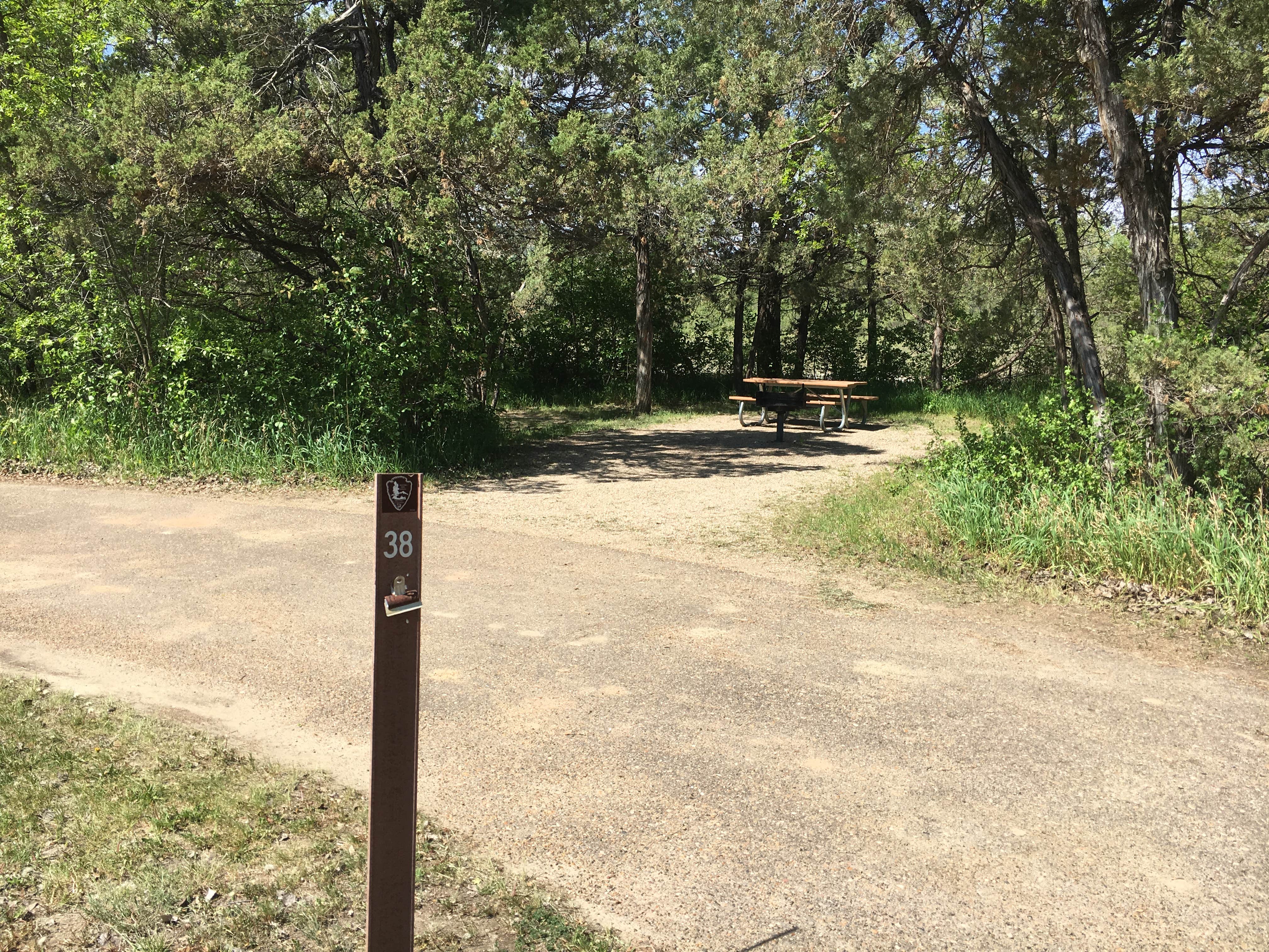 Camper submitted image from Juniper Campground — Theodore Roosevelt National Park - 3