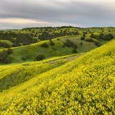 Review photo of Sage Creek Campground by Rico R., June 26, 2019
