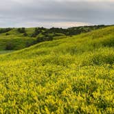 Review photo of Sage Creek Campground by Rico R., June 26, 2019