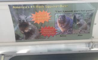 Krista T.'s photo of camping with pets at Watchman Campground — Zion National Park near Zion National Park