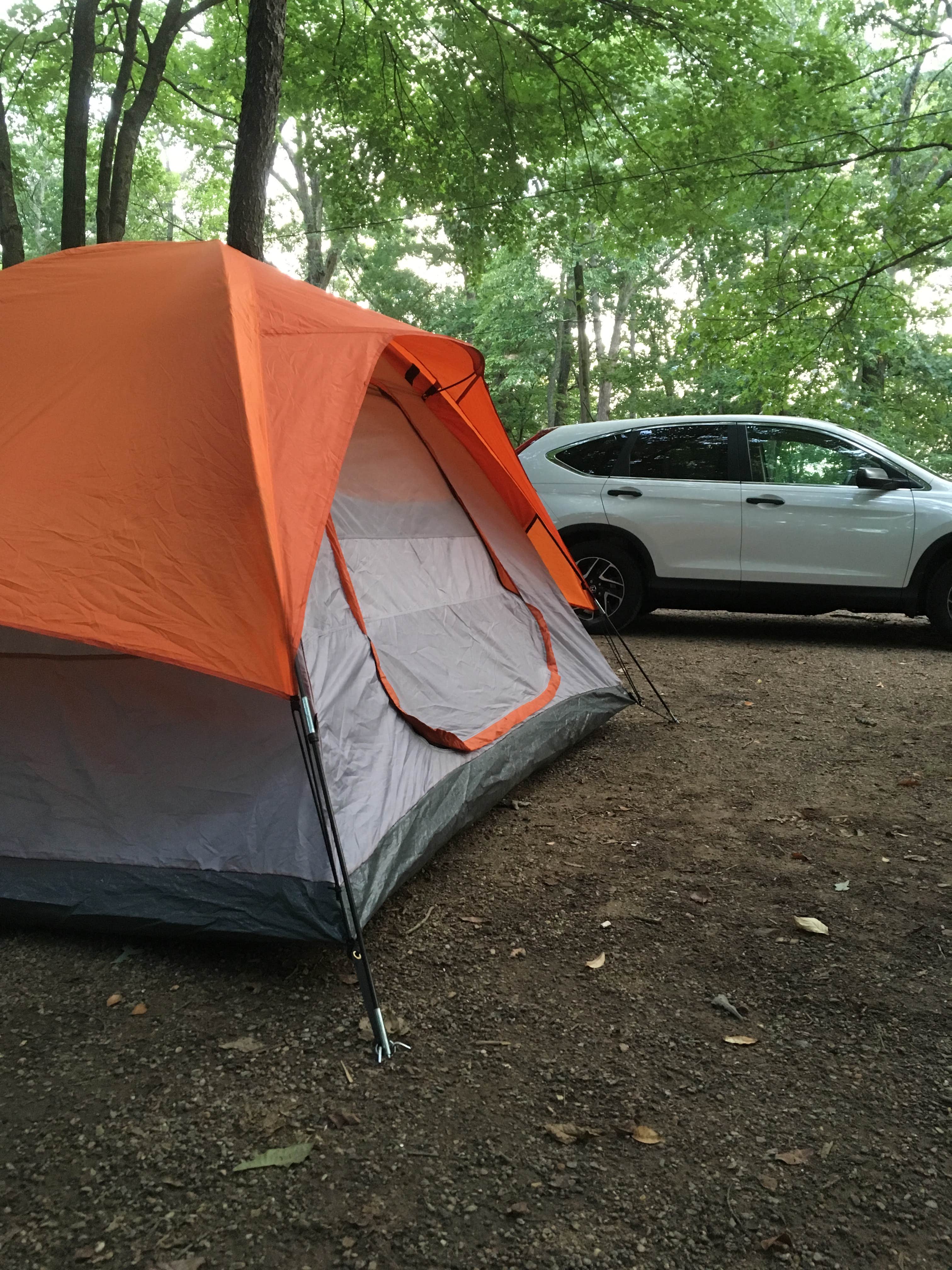 Chelsea Y.'s photo at Asheville East KOA near Gerton, NC