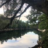 Review photo of Suwannee River State Park Campground by Angeline S., June 26, 2019