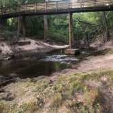 Review photo of Suwannee River State Park Campground by Angeline S., June 26, 2019