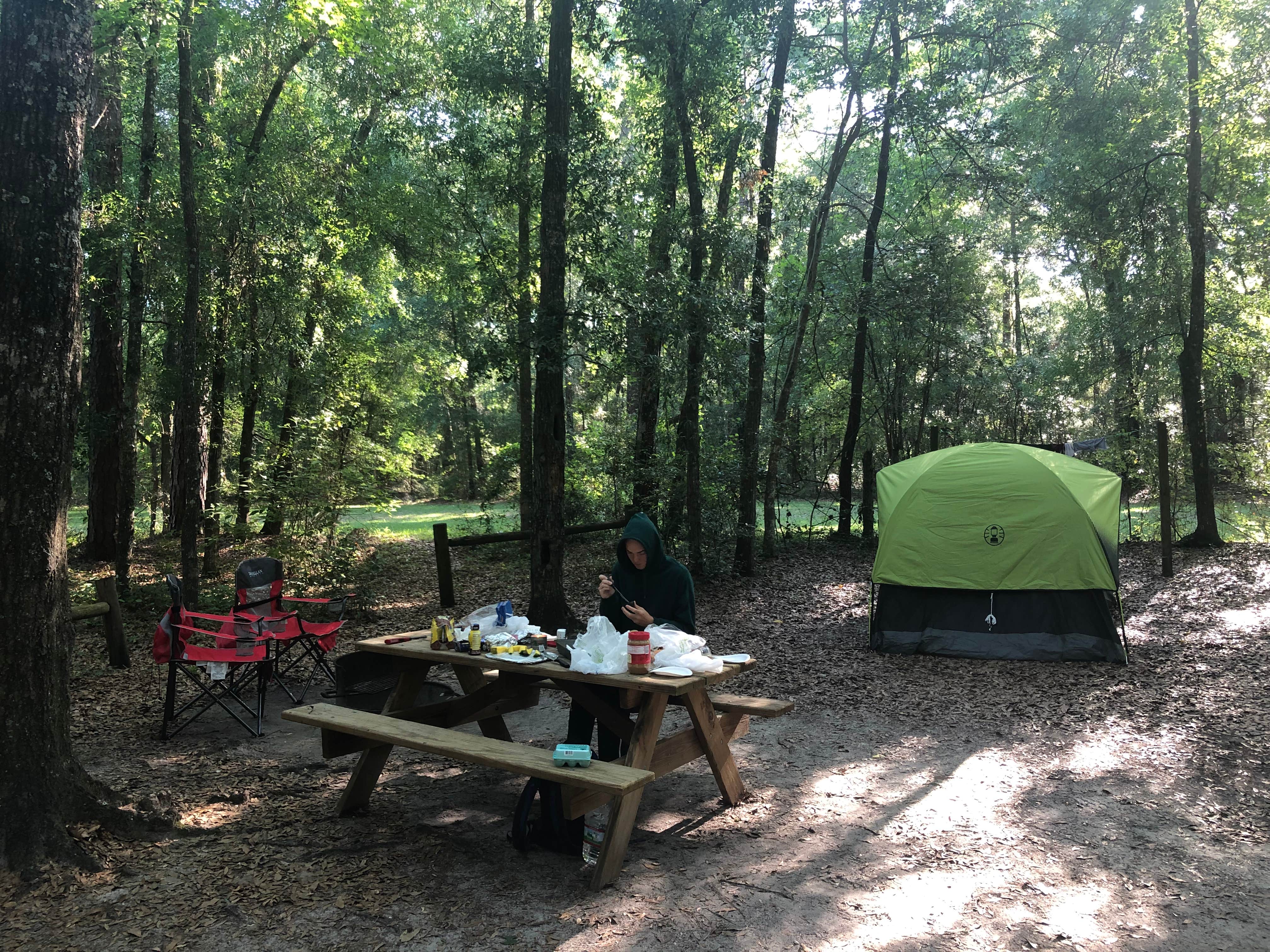 Angeline S.'s photo at Suwannee River State Park Campground near Valdosta, GA