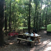 Review photo of Suwannee River State Park Campground by Angeline S., June 26, 2019