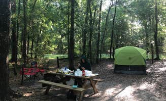 Angeline S.'s photo at Suwannee River State Park Campground near Mayo, FL