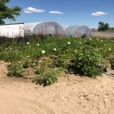 Review photo of Red Daisy Farm by Hayley K., June 26, 2019