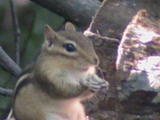 Camper-submitted photo at Lakeview Camping Area — Fair Haven Beach State Park near Sodus Point, NY
