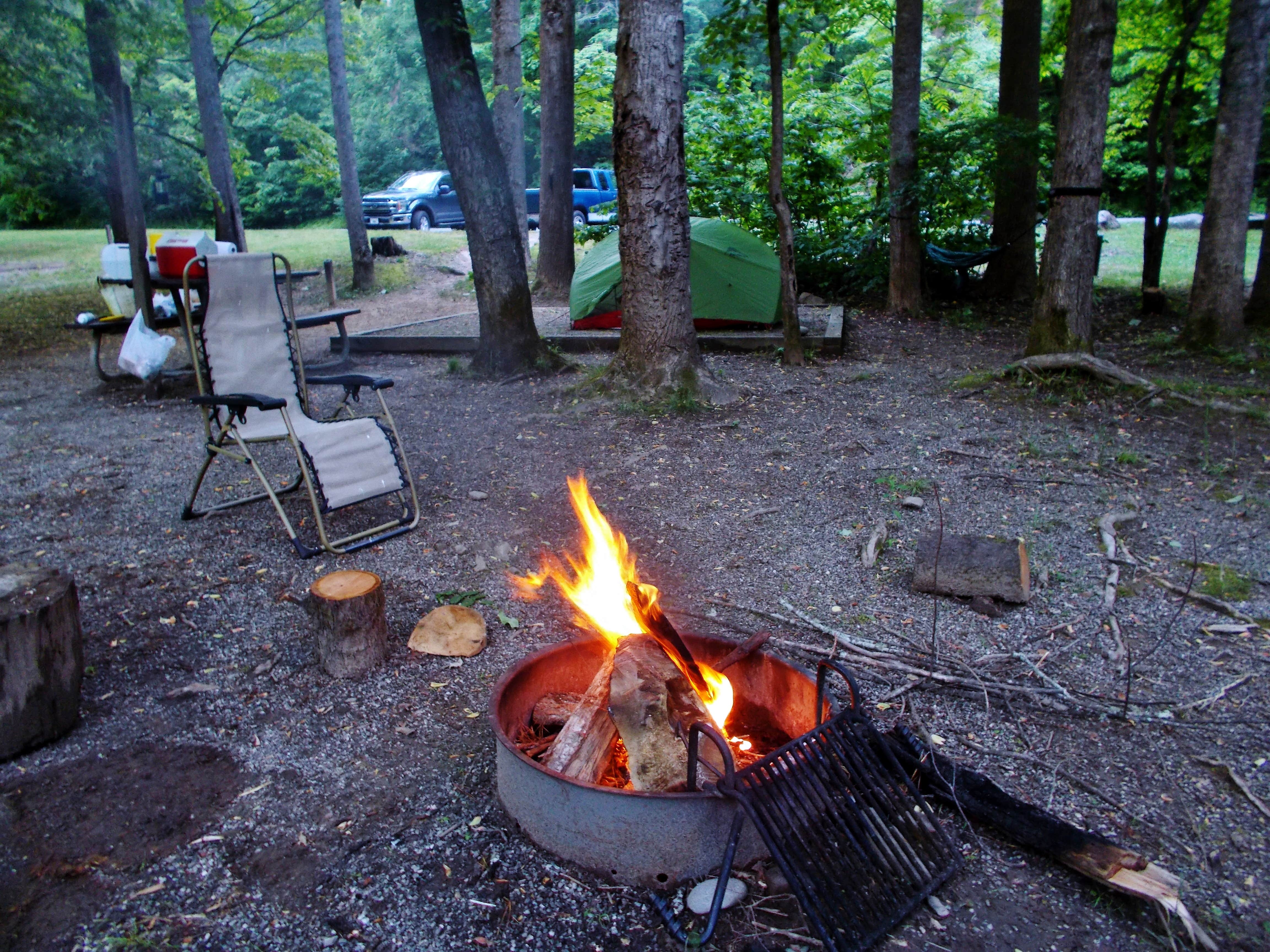Camper submitted image from Deep Creek Campground — Great Smoky Mountains National Park - 4