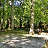 Review photo of Deep Creek Campground — Great Smoky Mountains National Park by Myron C., June 26, 2019