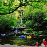 Review photo of Deep Creek Campground — Great Smoky Mountains National Park by Myron C., June 26, 2019