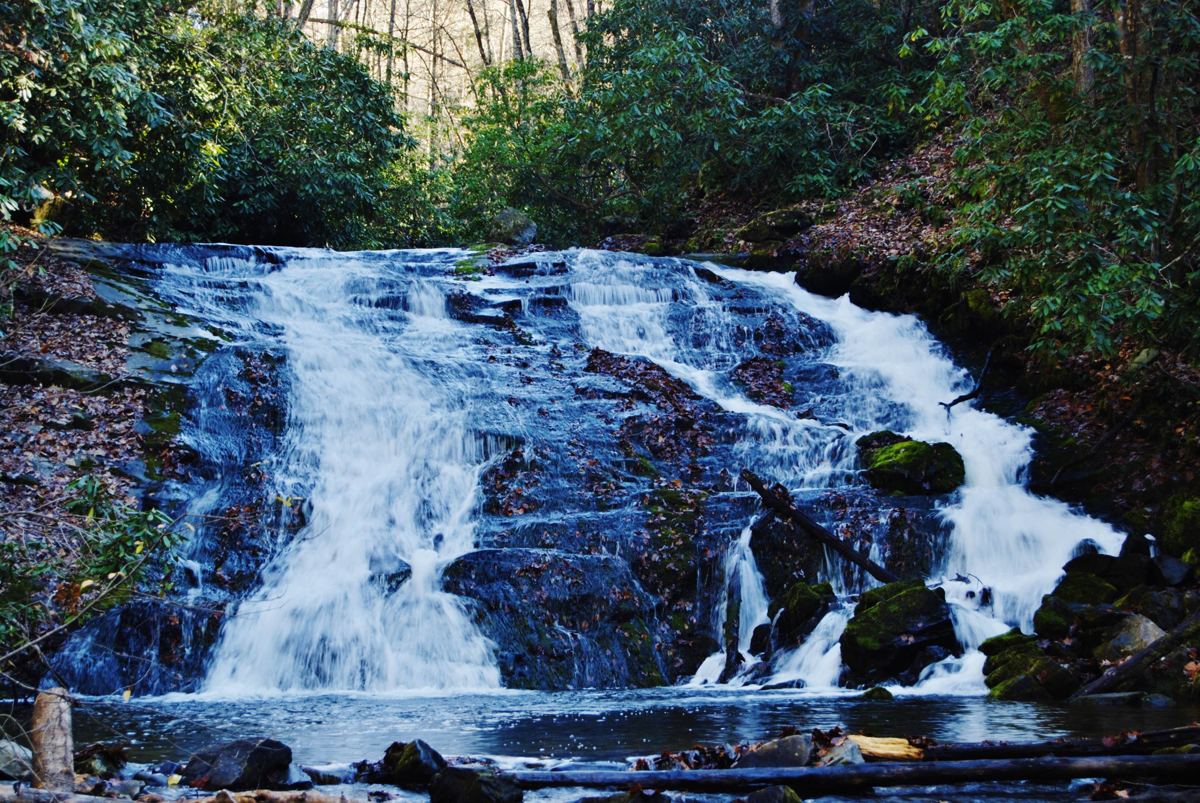 Camper-submitted photo at Deep Creek Campground — Great Smoky Mountains National Park near Franklin, NC