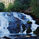 Review photo of Deep Creek Campground — Great Smoky Mountains National Park by Myron C., June 26, 2019