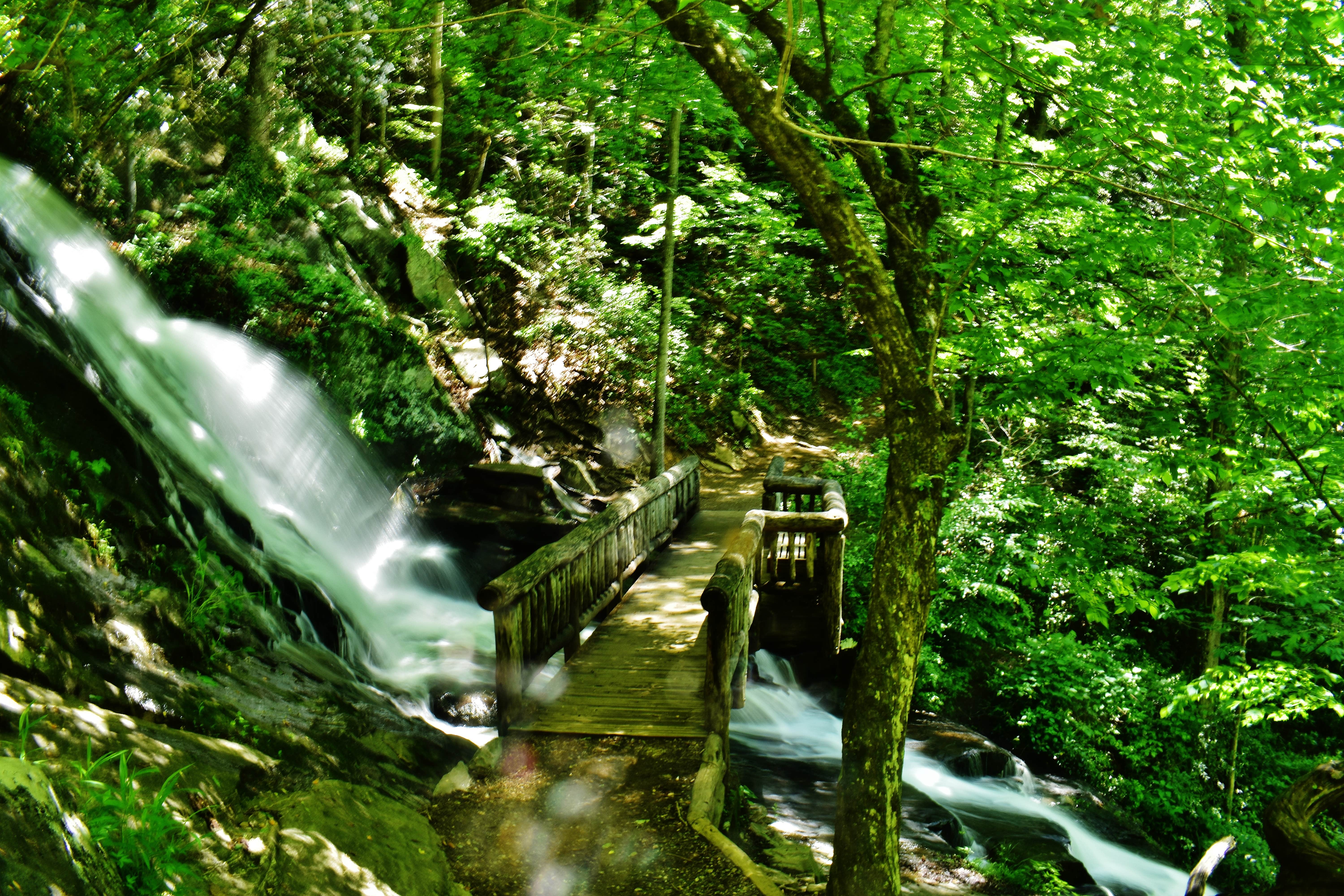 Camper-submitted photo at Deep Creek Campground — Great Smoky Mountains National Park near Franklin, NC