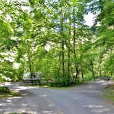 Review photo of Deep Creek Campground — Great Smoky Mountains National Park by Myron C., June 26, 2019