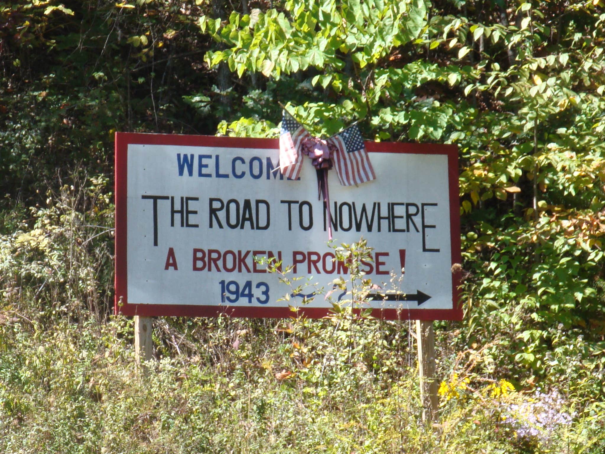 Camper submitted image from Deep Creek Campground — Great Smoky Mountains National Park - 5