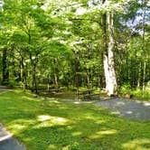 Review photo of Deep Creek Campground — Great Smoky Mountains National Park by Myron C., June 26, 2019