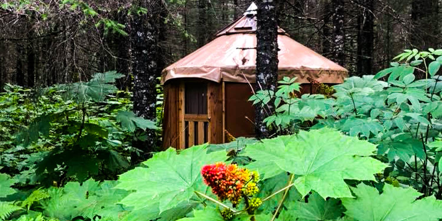 Emily G.'s photo of a cabin at Nauti Otter Village near Whittier, AK