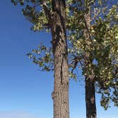 Review photo of Dunewood Campground — Indiana Dunes National Park by Nicole P., June 13, 2019