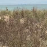 Review photo of Dunewood Campground — Indiana Dunes National Park by Nicole P., June 13, 2019