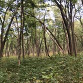 Review photo of Dunewood Campground — Indiana Dunes National Park by Nicole P., June 13, 2019