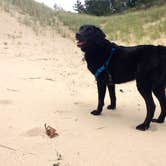 Review photo of Dunewood Campground — Indiana Dunes National Park by Nicole P., June 13, 2019