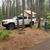 Review photo of Fish Creek Campground — Glacier National Park by Chris S., June 26, 2019