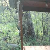 Review photo of Zion A-Frame Cabin by Krista T., June 26, 2019