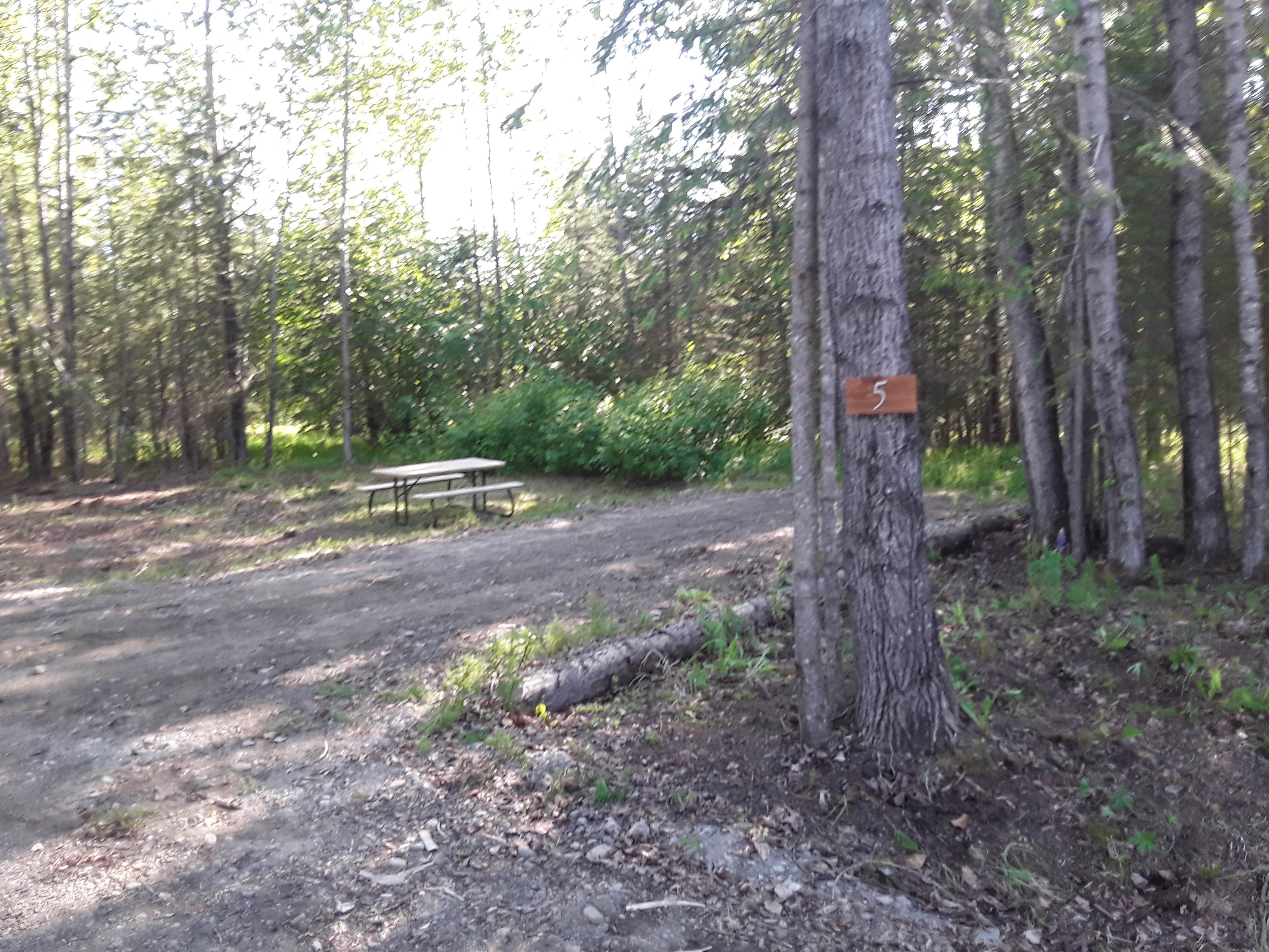 Camper-submitted photo at Alaska Acres near Kasilof, AK