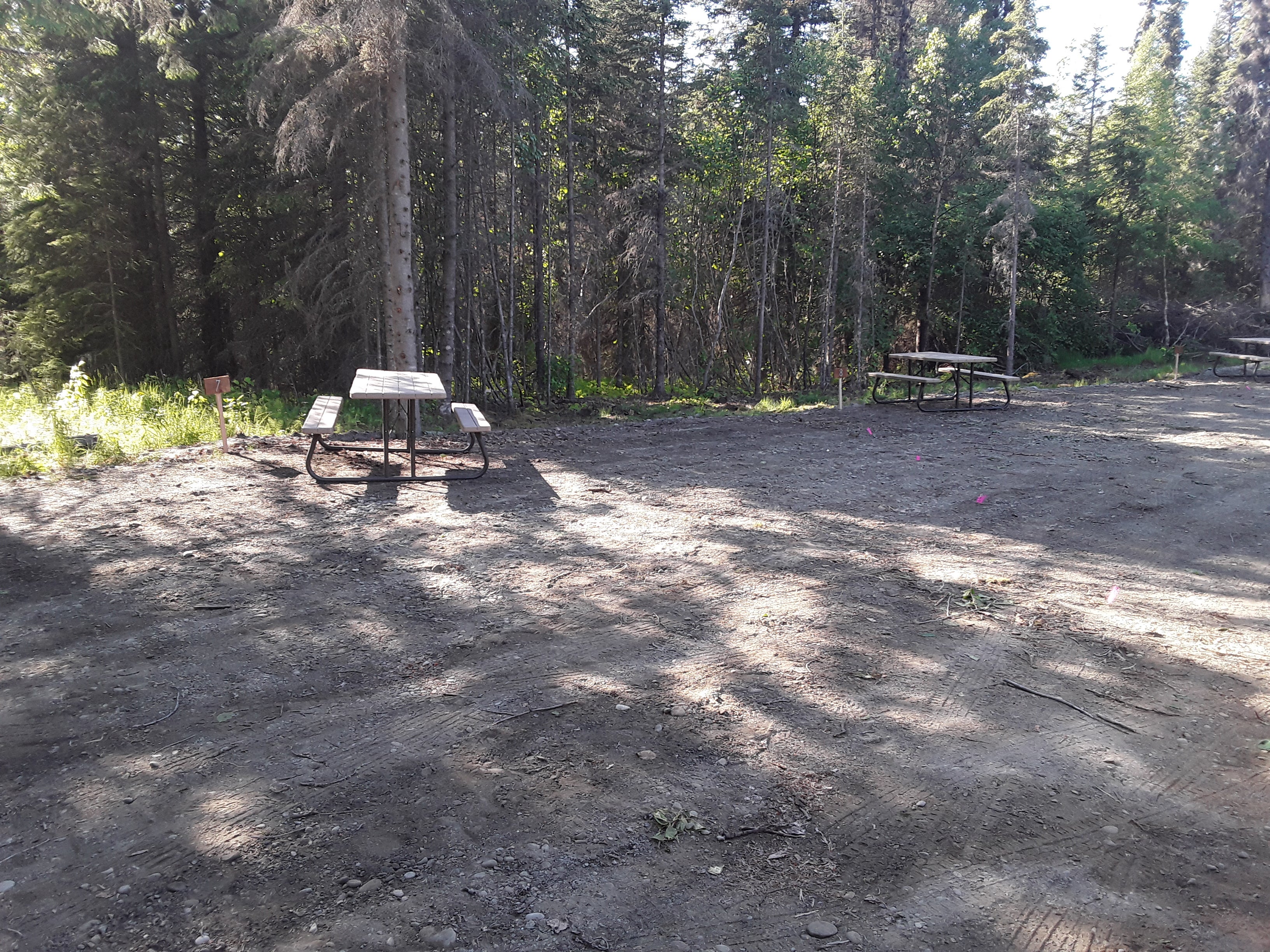 Our campground is bordered on all sides by a nice thick tree line.