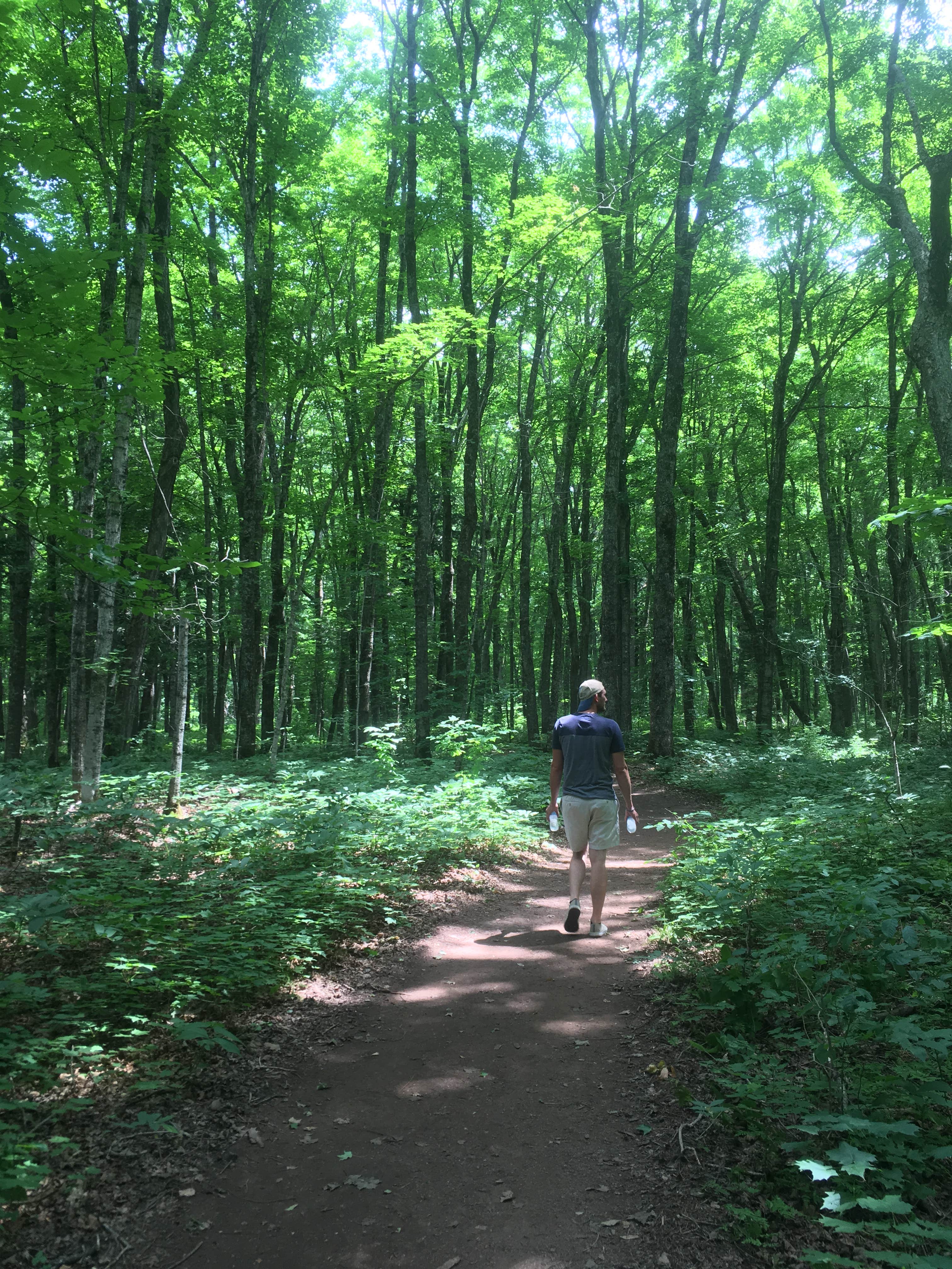 Camper submitted image from Black River Harbor Campground - 2