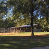 Review photo of Village Creek State Park Campground by Shelly S., September 4, 2016