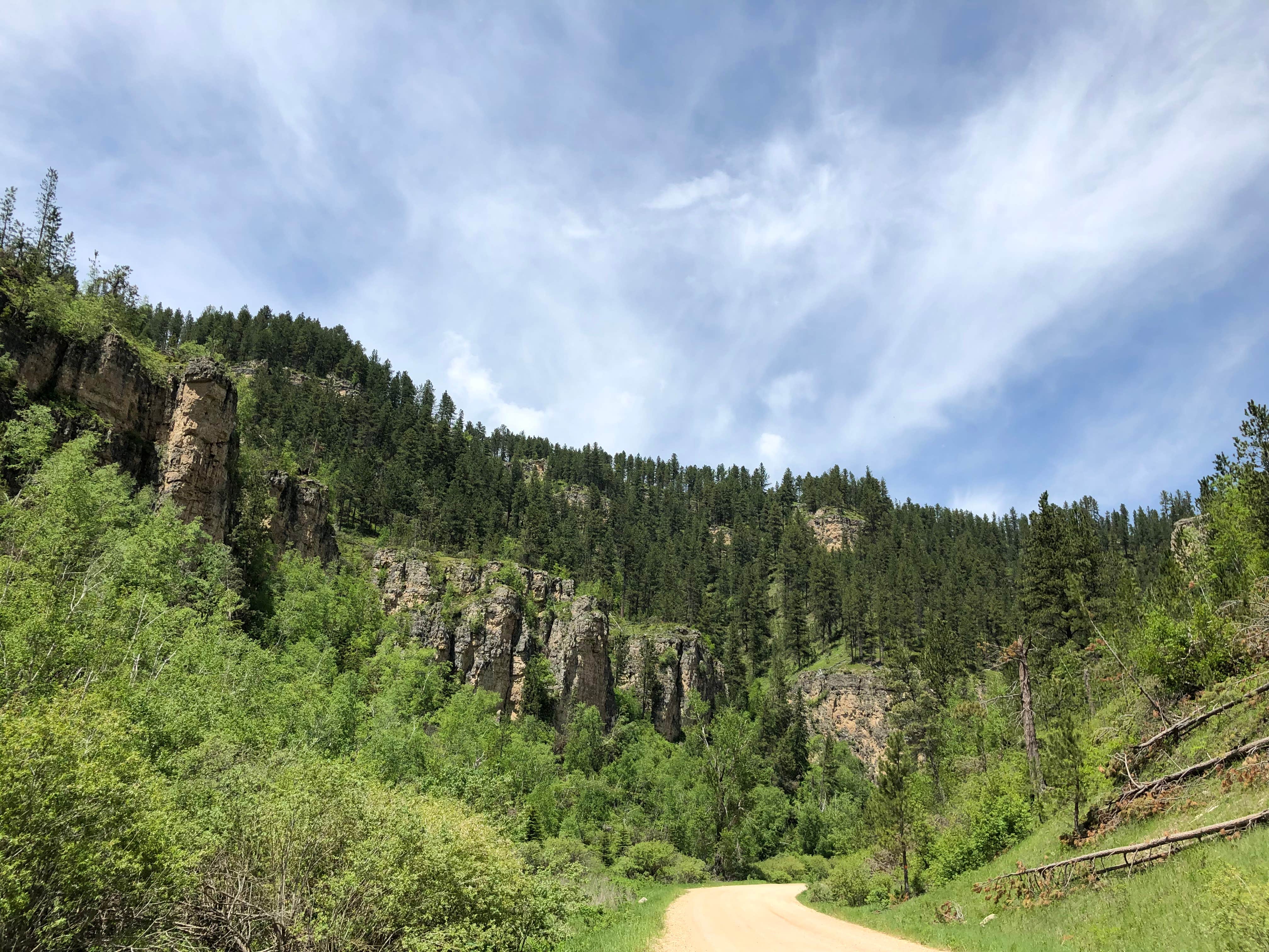 Camper submitted image from Timon Campground - 4