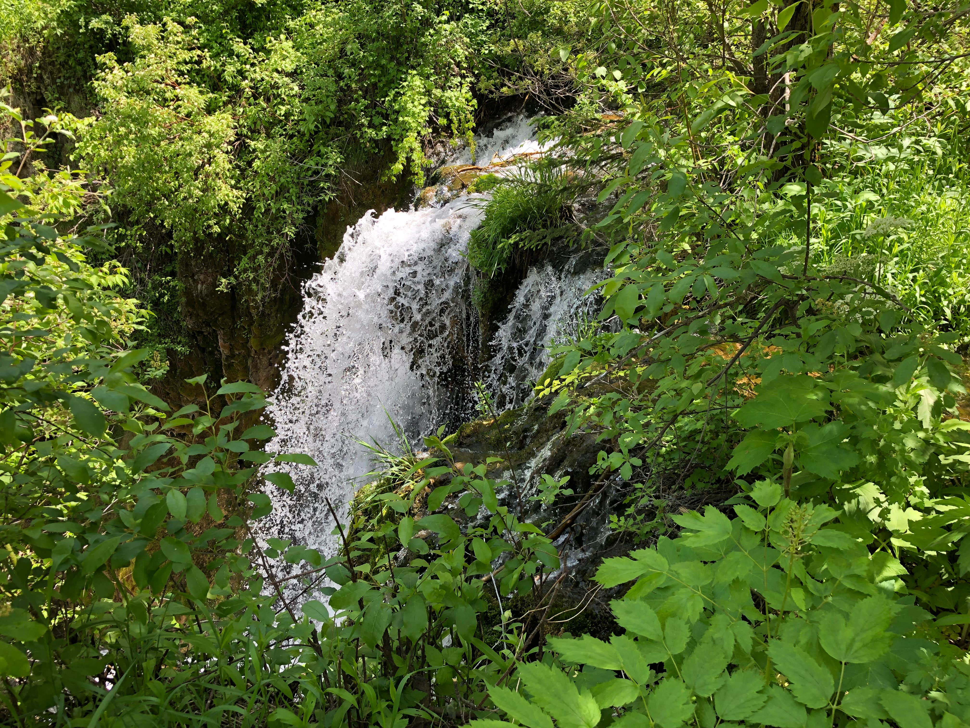 Escape to Serenity: Your Guide to Timon Campground, South Dakota