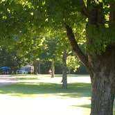 Review photo of Village Creek State Park Campground by Shelly S., September 4, 2016