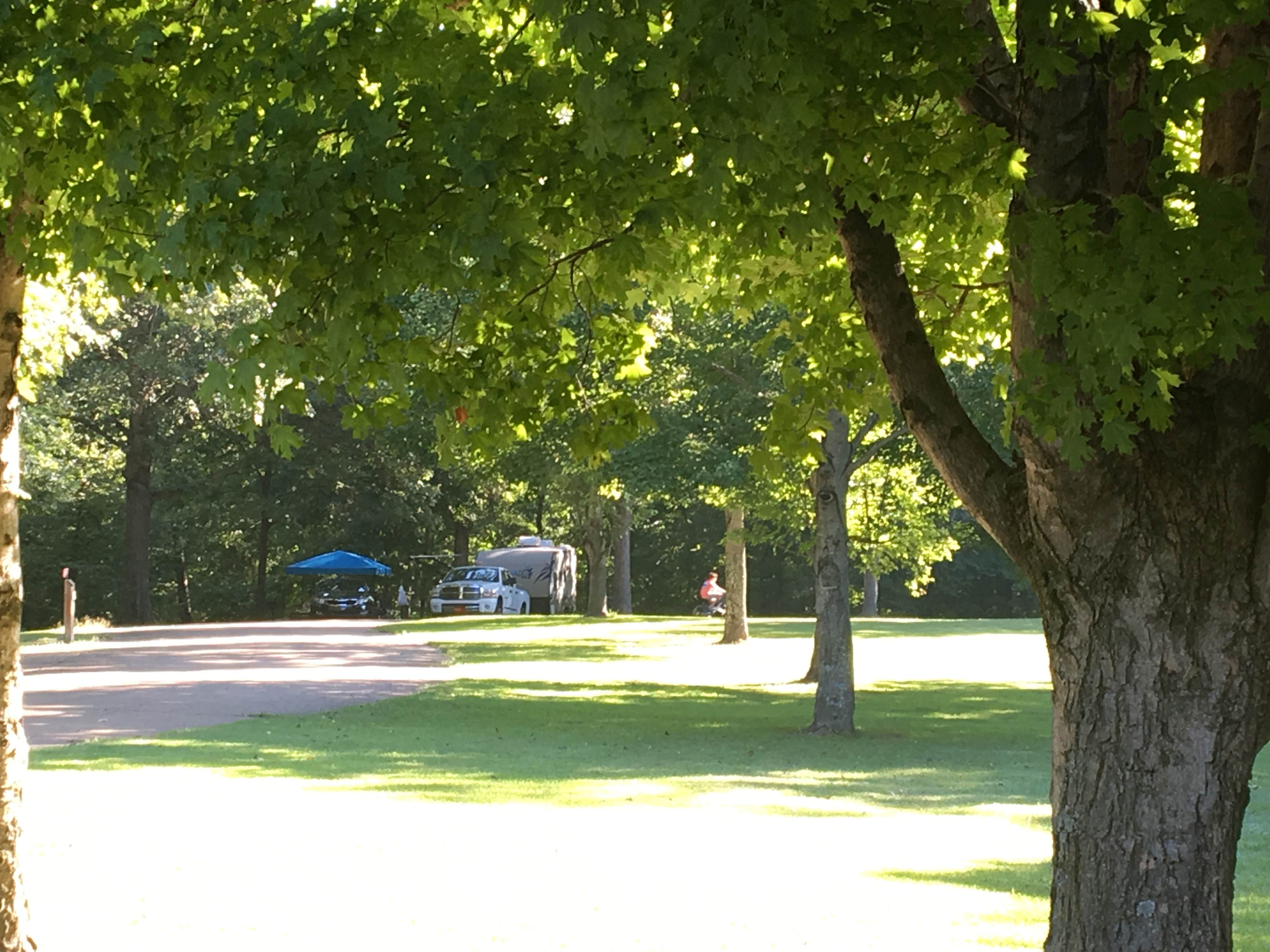 Camper submitted image from Village Creek State Park Campground - 2