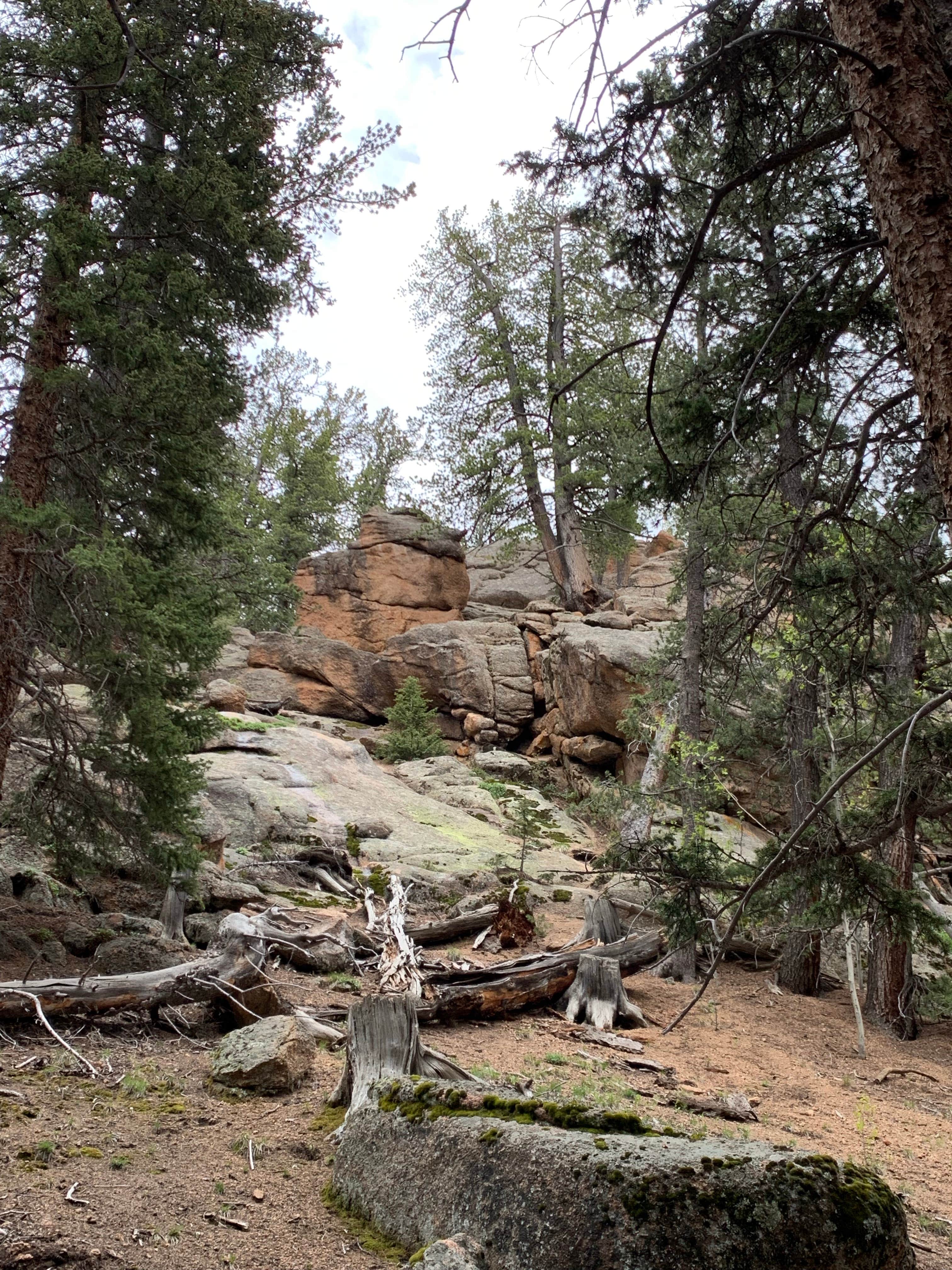 Camper-submitted photo at The Crags Campground — State Forest State Park near Gould, CO