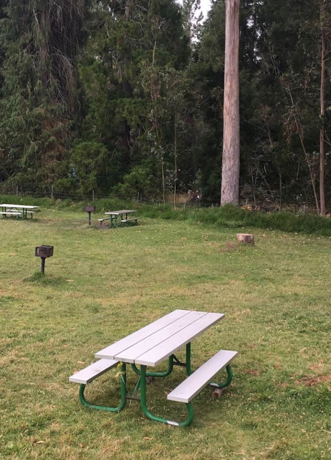 Camper submitted image from Hosmer Grove Campground — Haleakalā National Park - 4