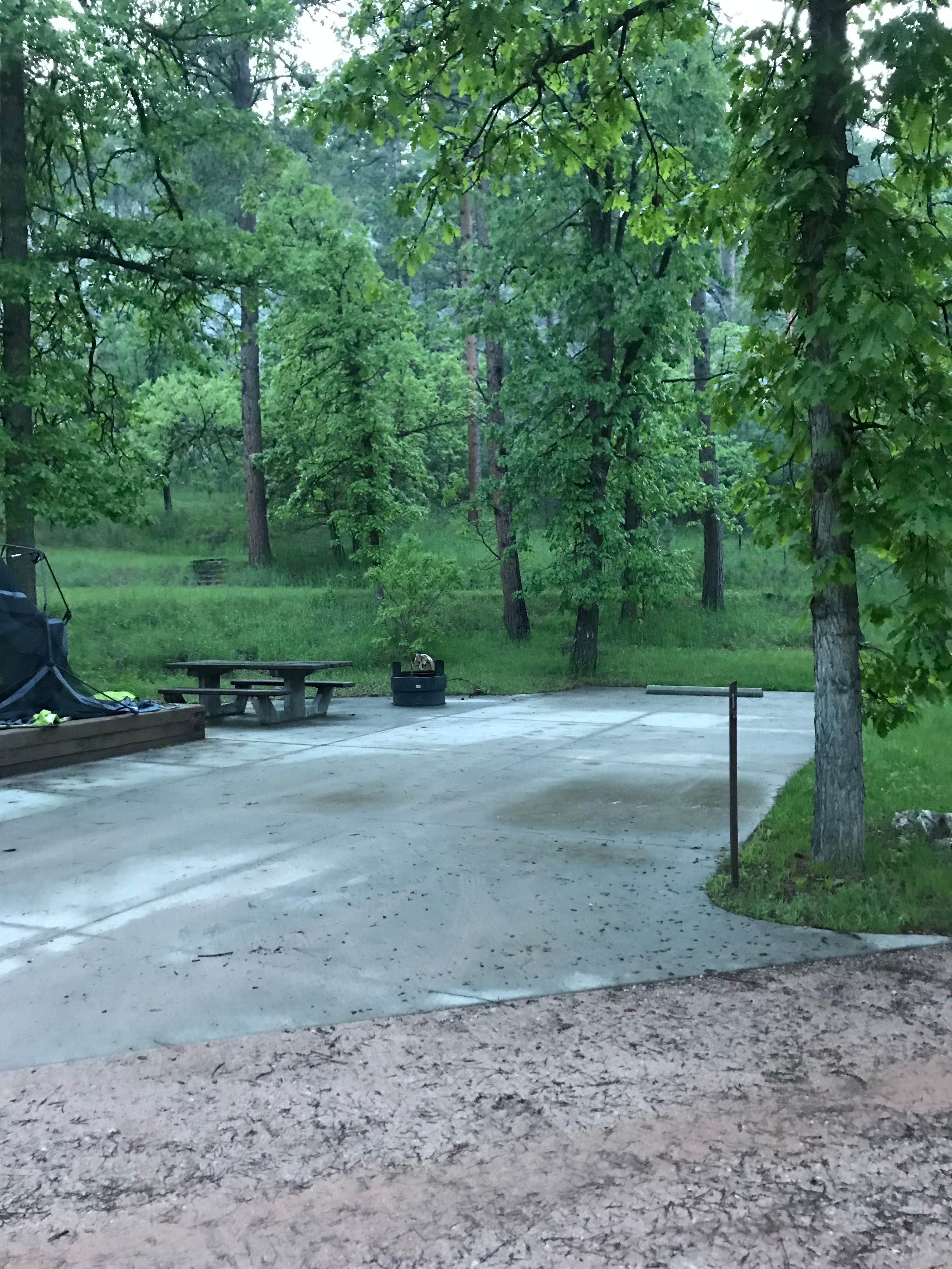 Camper submitted image from Grizzly Creek Primitive - 4