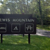 Review photo of Lewis Mountain Campground — Shenandoah National Park by Janet W., June 26, 2019