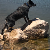 Review photo of Happy Trails Campground & Mini Motel by Teresa M., June 26, 2019