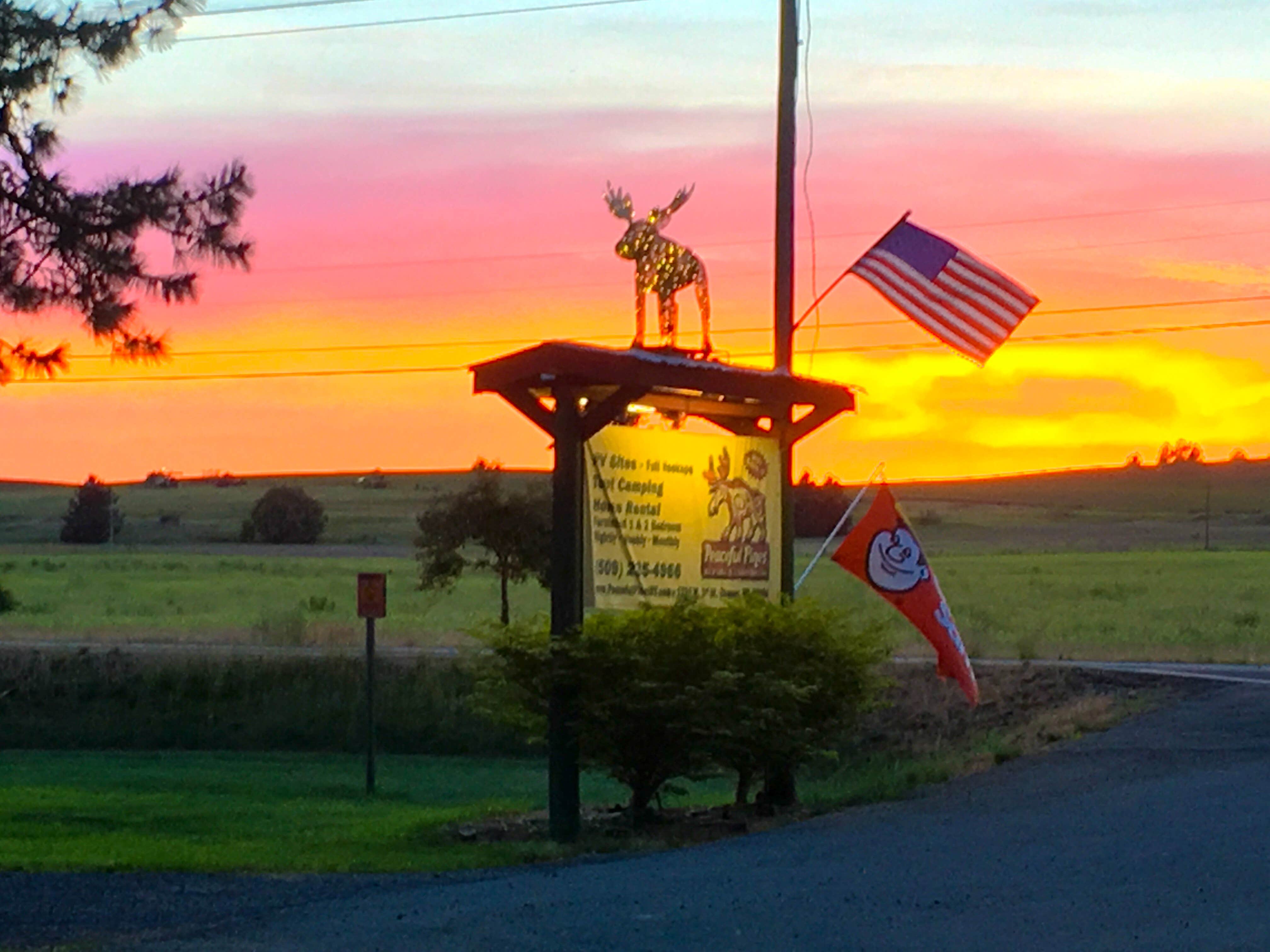 Camper-submitted photo at Peaceful Pines  RV Park & Campground near Davenport, WA
