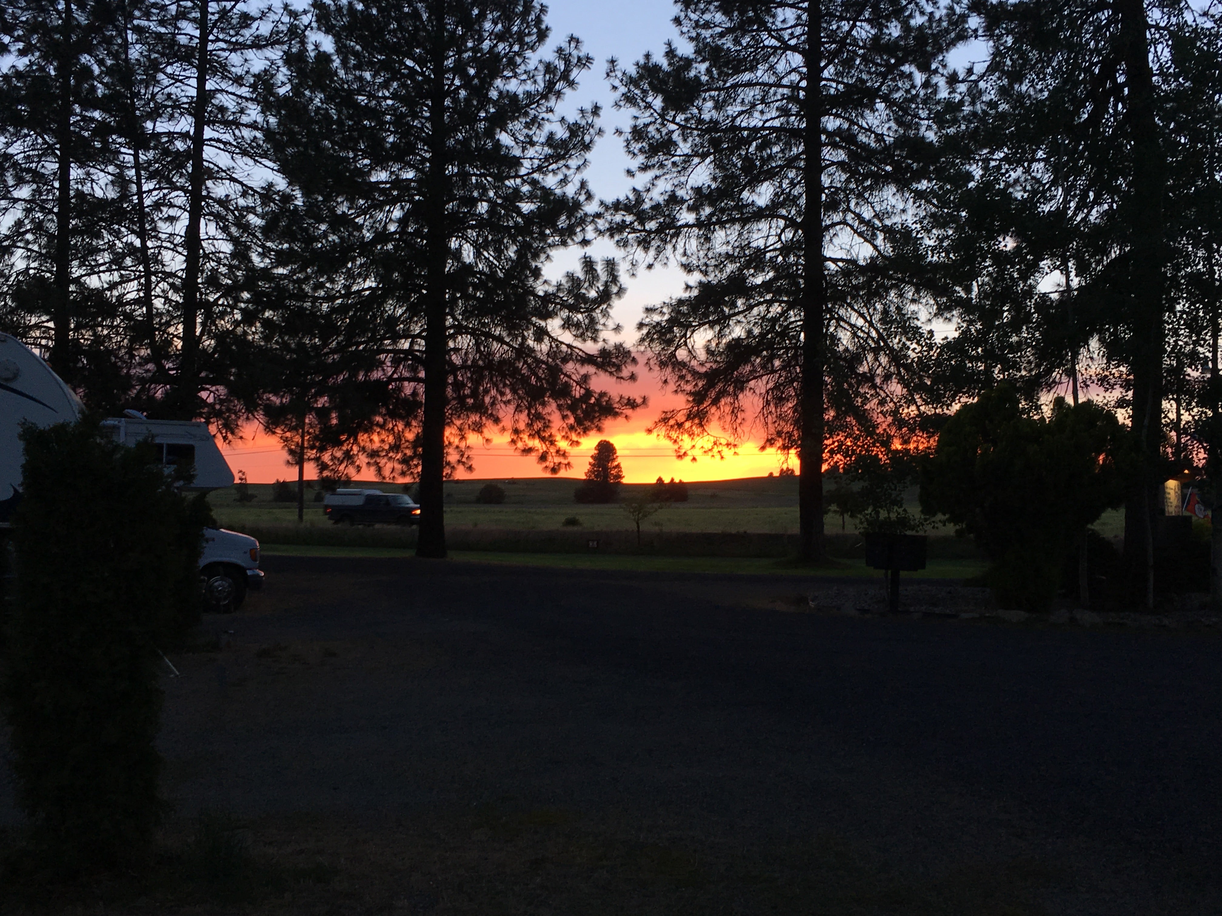 Camper submitted image from Peaceful Pines  RV Park & Campground - 3